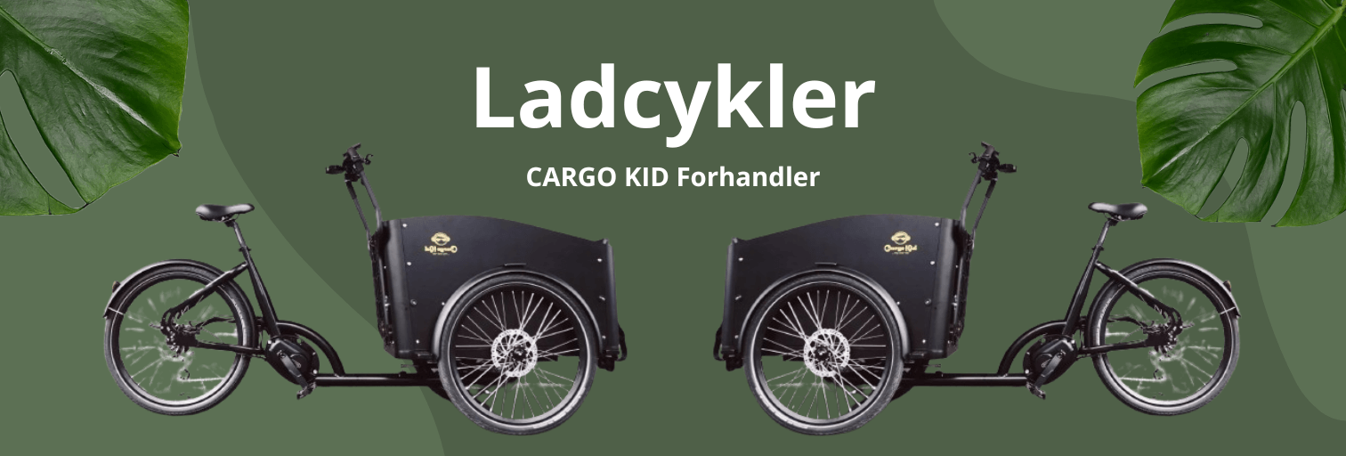 Ladcykler - Cargo kid