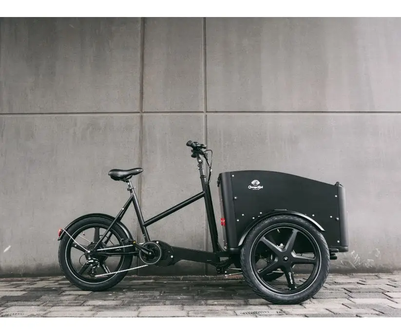 PRO PLUS Deluxe El-ladcykel