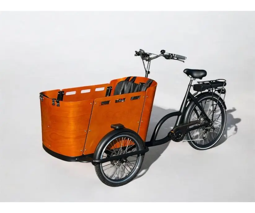 A/Economy Woodie Bike.